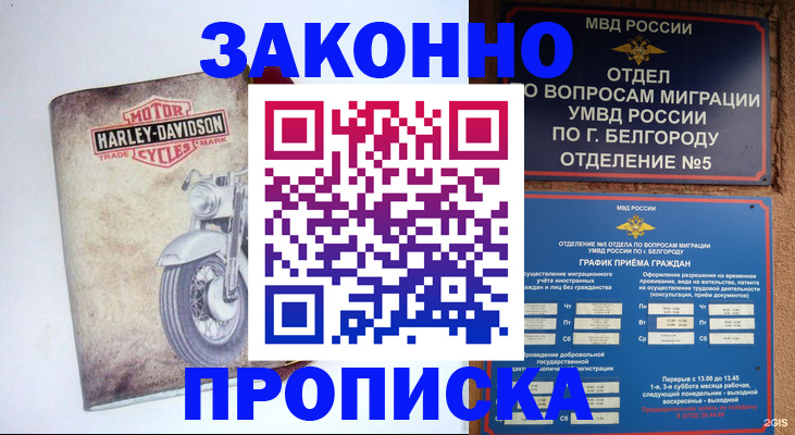 прописка для школы в Рошале